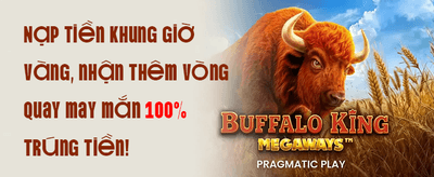 VIP Reward Program